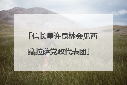 信长星许昆林会见西藏拉萨党政代表团